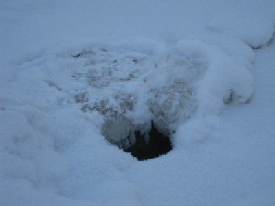 Image Thumbnail