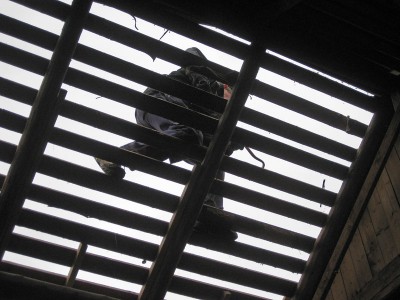Image Thumbnail
